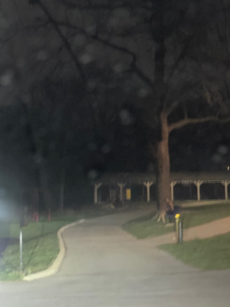 walking near me in Matthews Park in spring