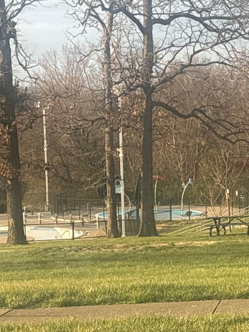 walking near me in Civic Park in spring