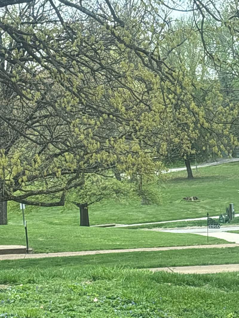 walking near me in St. Vincent County Park in spring