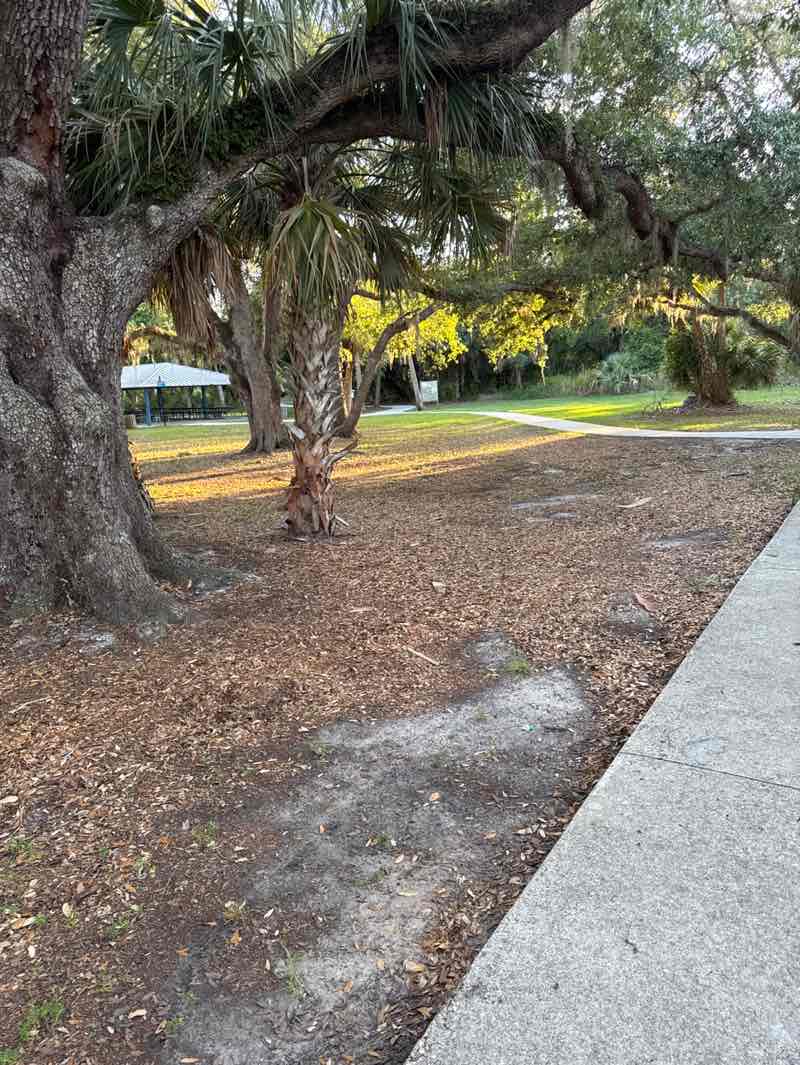 walking near me in Franz Ross Park in spring