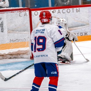 bosarginarsenij profile