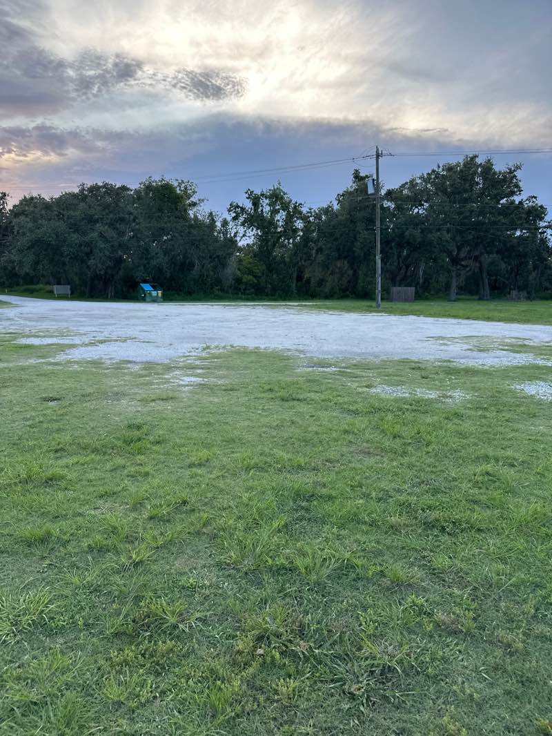 walking near me in Florida Railroad Park in summer