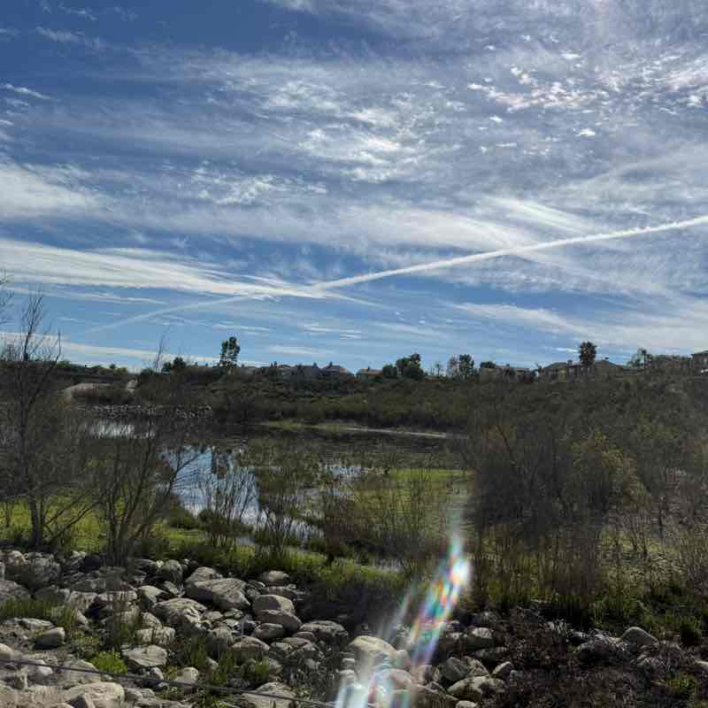 MAROMA Energy Services NV post image