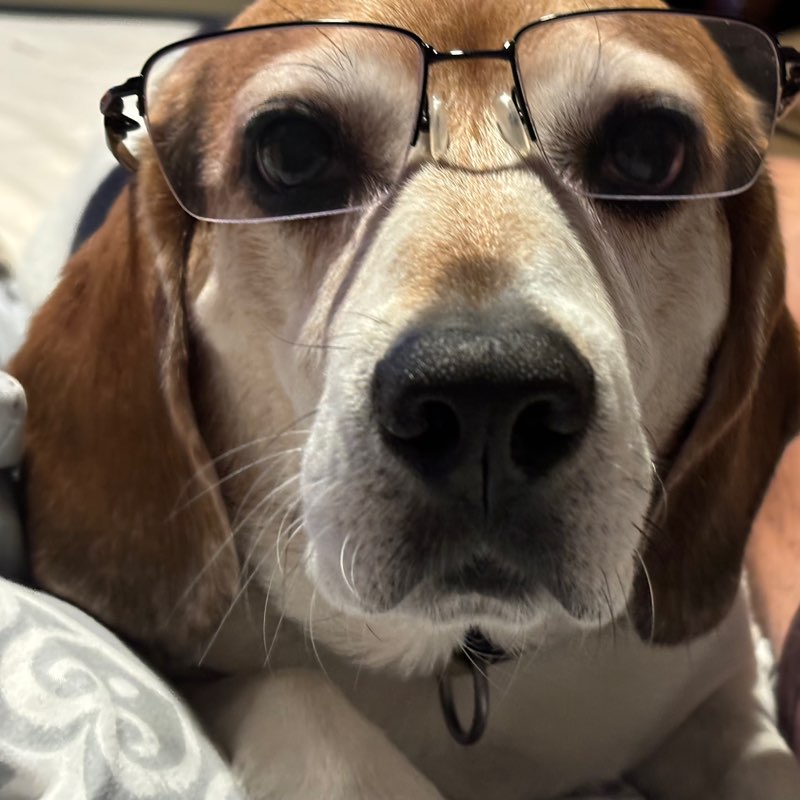 o.v.andreeva profile