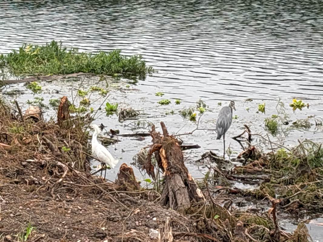 walking near me in Holly Shores at Town Lake Metropolitan Park in autumn