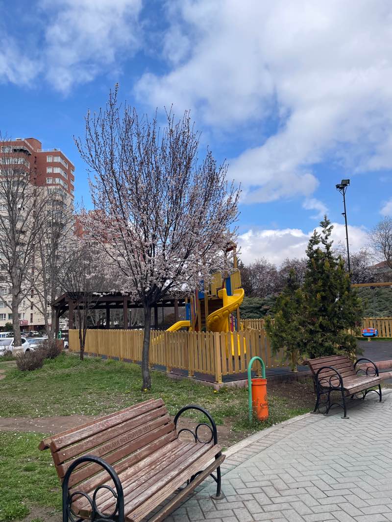 walking near me in Yunus Emre Parkı in spring