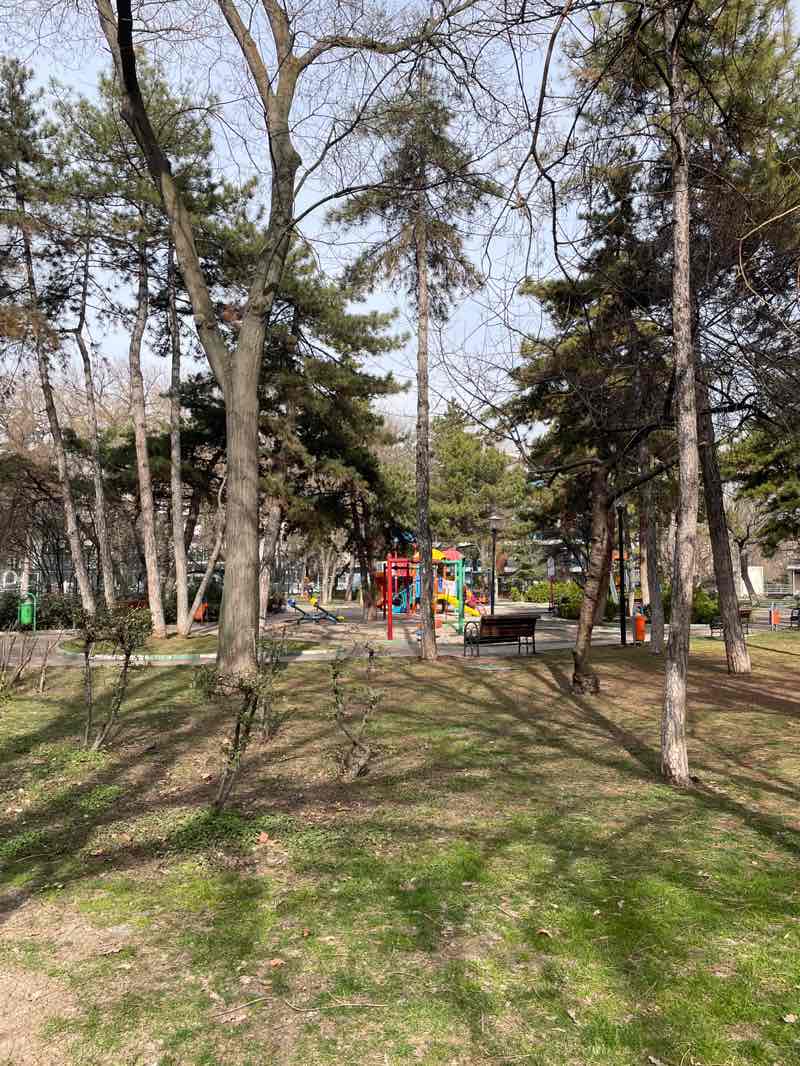 walking near me in Metin Oktay Parkı in spring