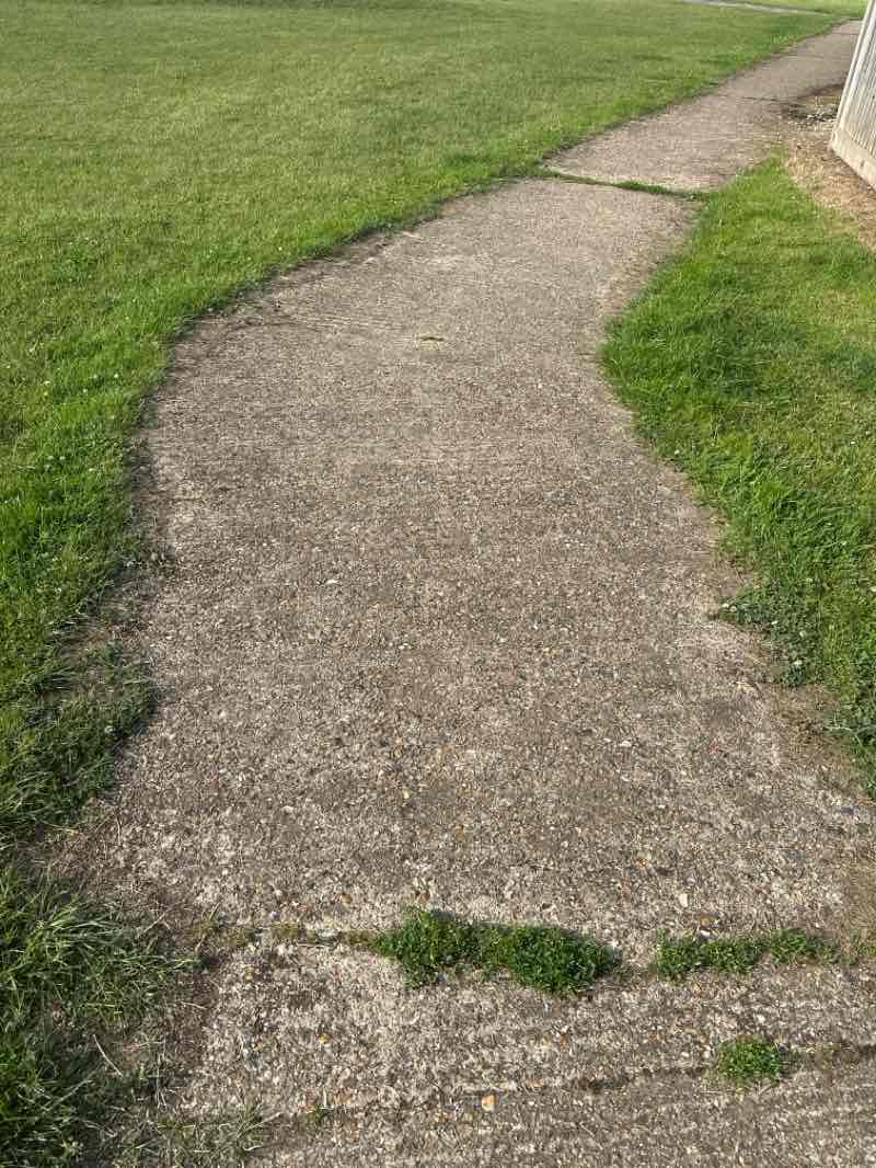 walking near me in Aysgarth Park in summer