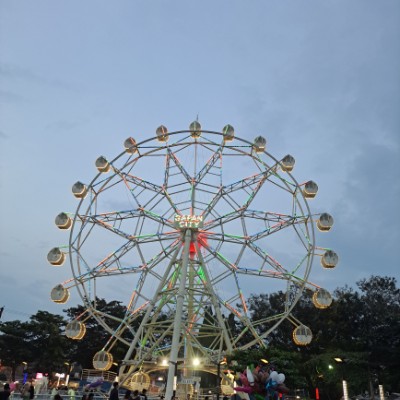 AIP Team Rd wick post image