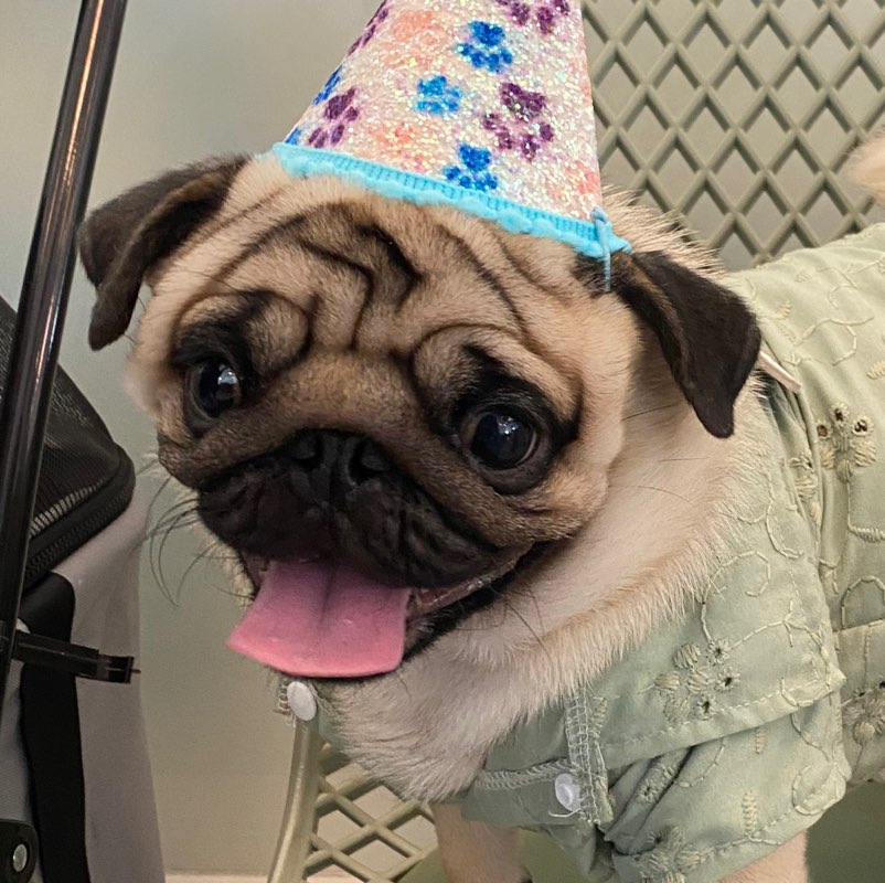 Semaglutide Generator