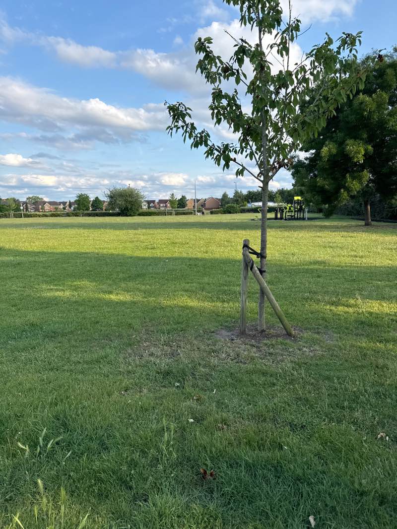 walking near me in Cippenham Green in summer