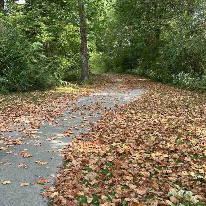 Leggy McLeggerton post 1