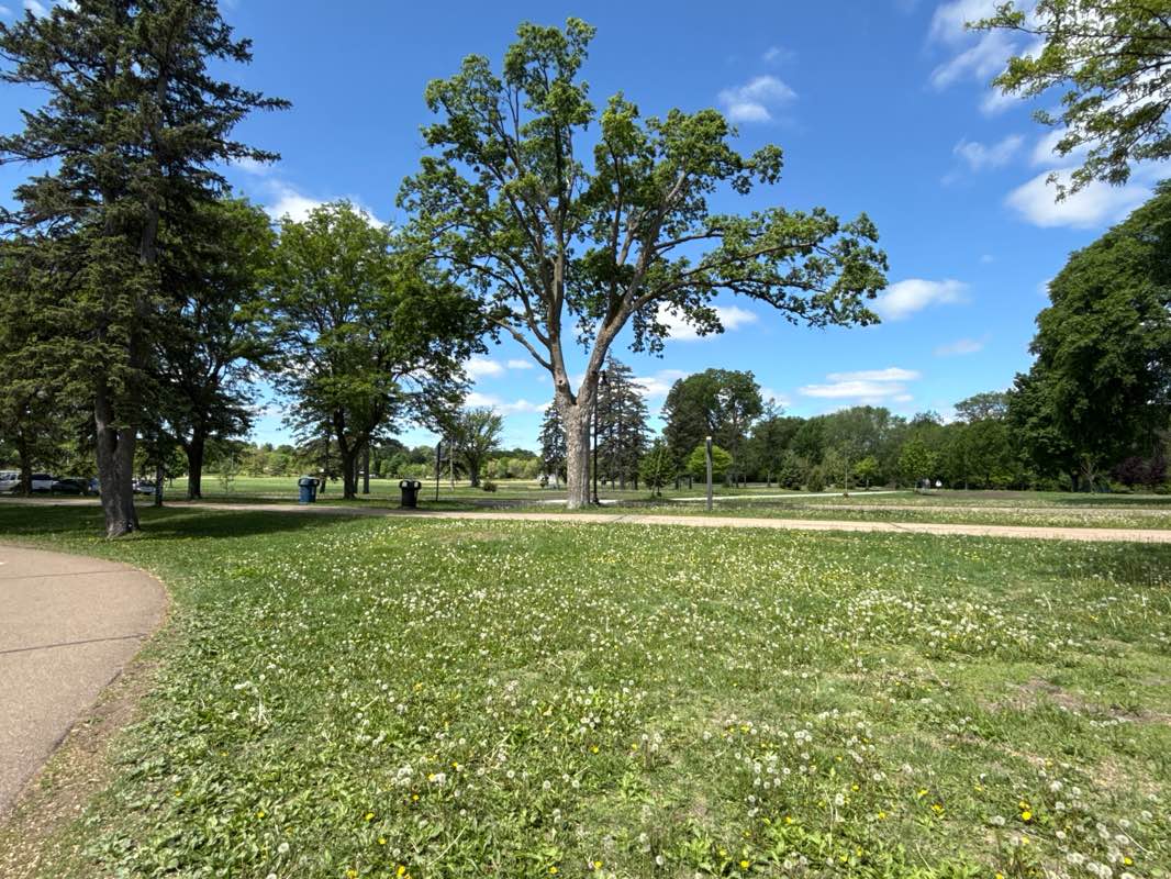 walking near me in Lake Nokomis Park in spring