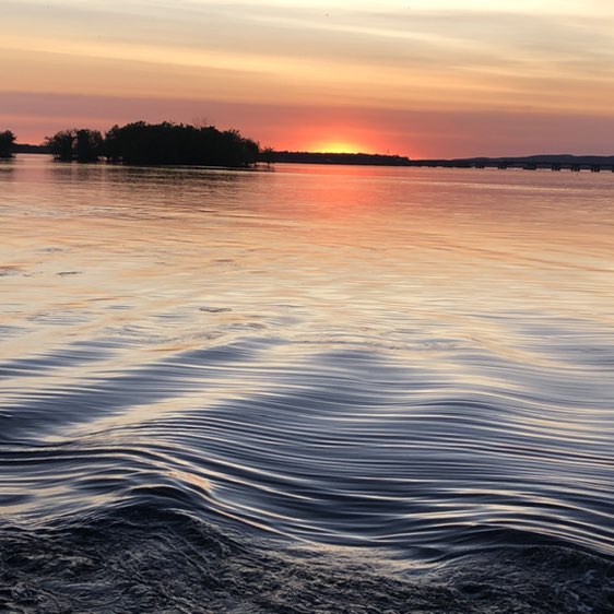 A-mann 🇨🇦🍉🇵🇸 post 1