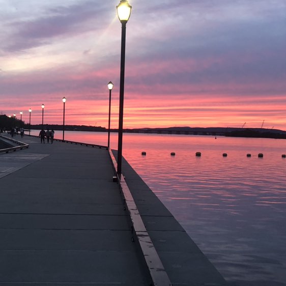 A-mann 🇨🇦🍉🇵🇸 post 3