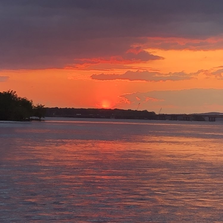 A-mann 🇨🇦🍉🇵🇸 post 2