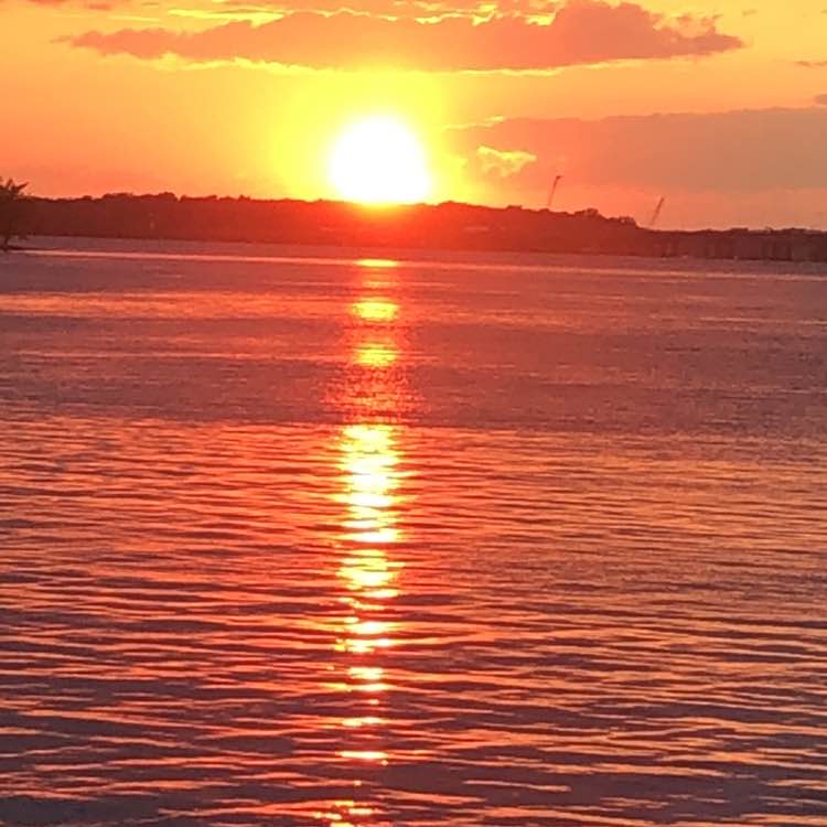 A-mann 🇨🇦🍉🇵🇸 post 3