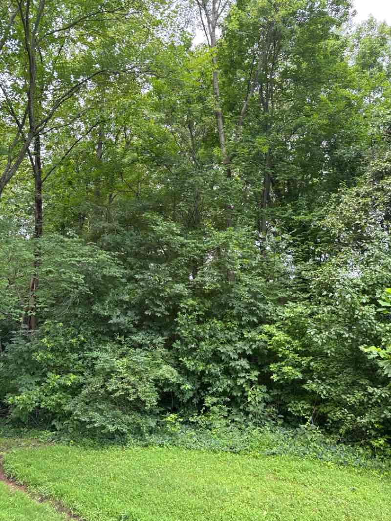 walking near me in Greenbriar Park in autumn