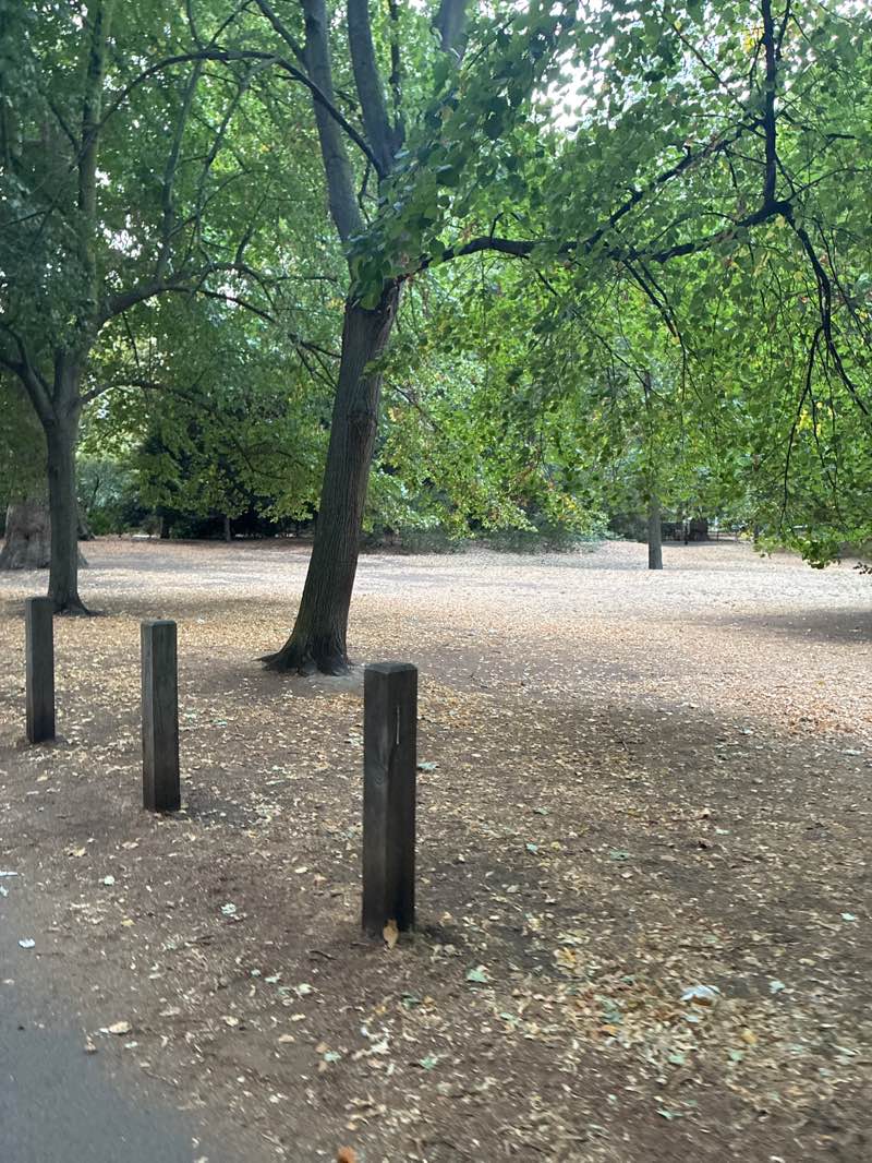 walking near me in Battersea Park in summer