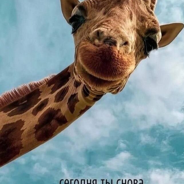 AL | Walk&Win Дарья post image