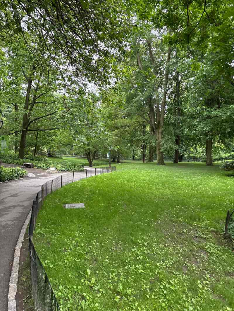 walking near me in Central Park in spring