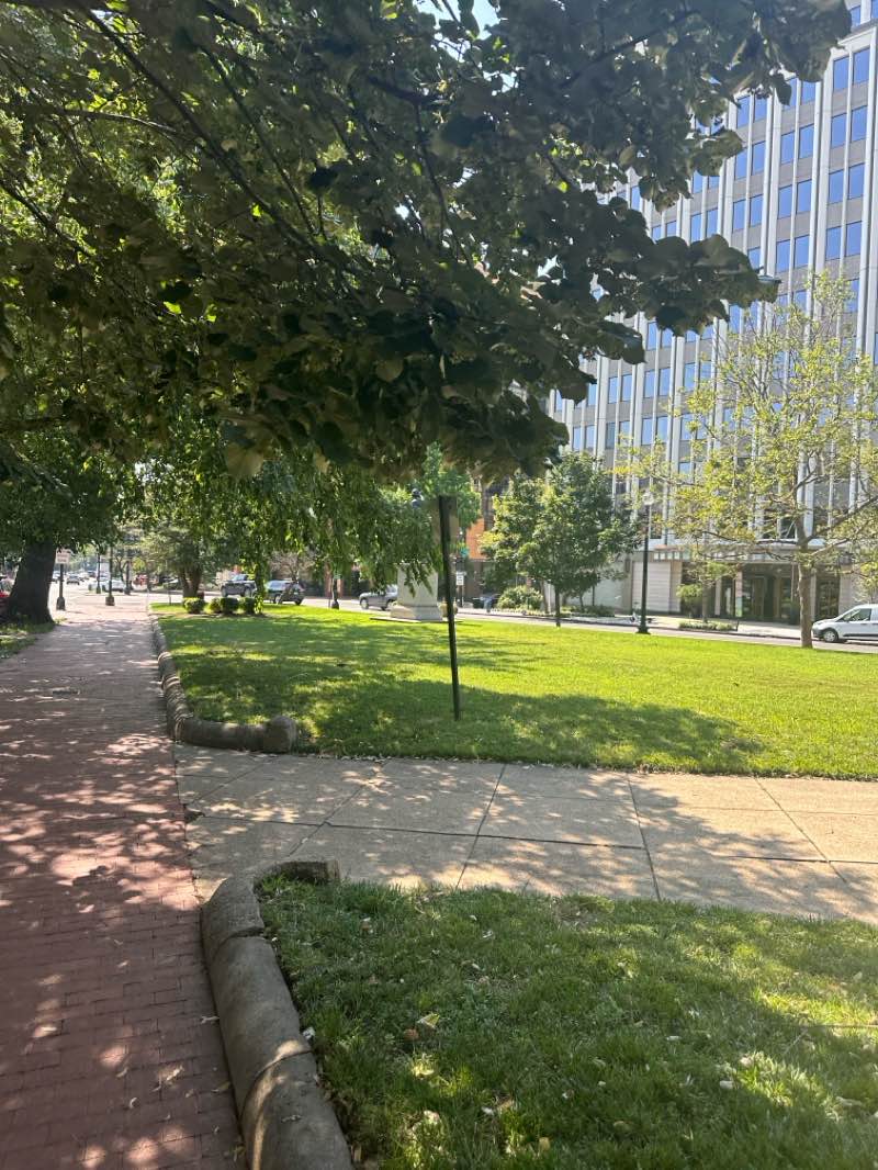 walking near me in Franklin Square in summer