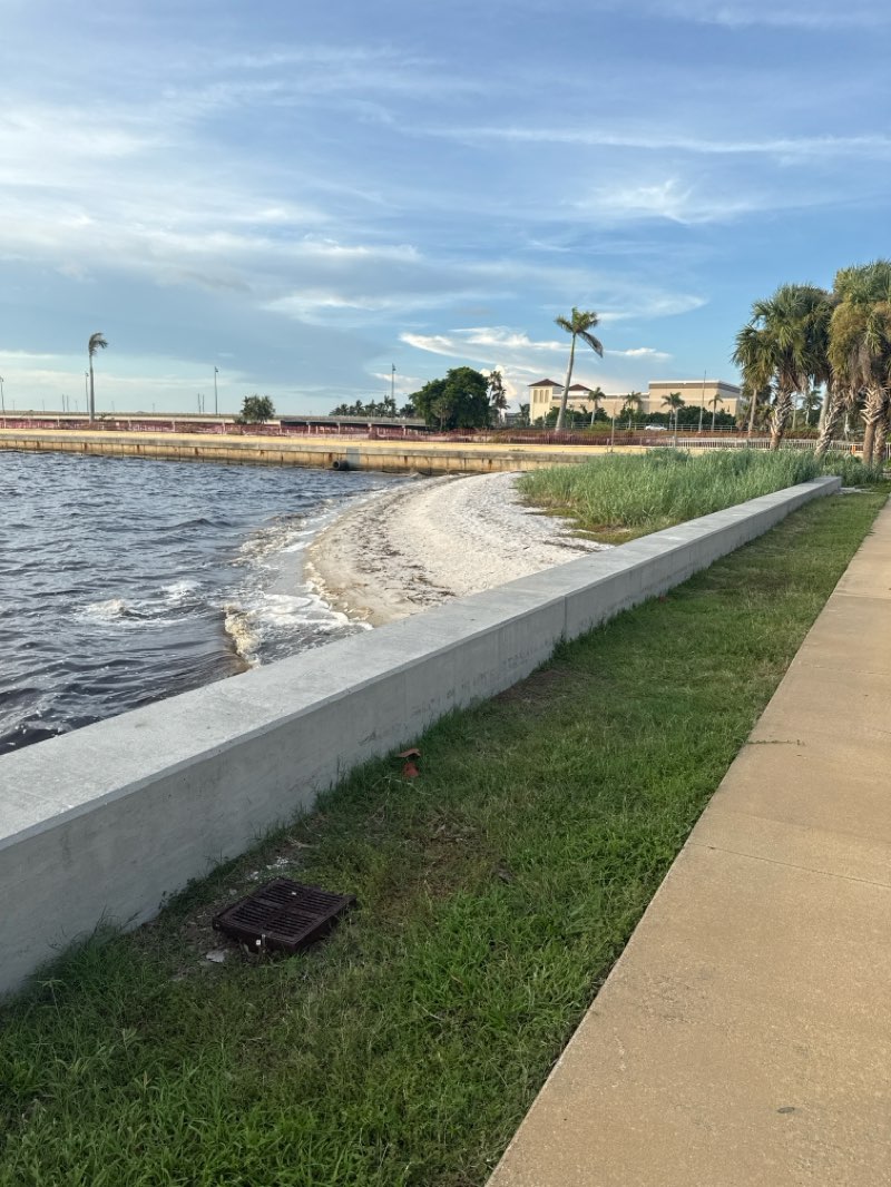 walking near me in Gilcrest Park in autumn