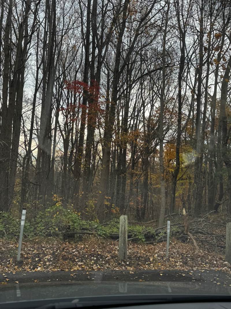 walking near me in North Point Neighborhood Conservation Area in autumn