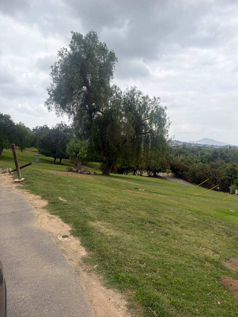 walking near me in Martha McLean-Anza Narrows Park in spring