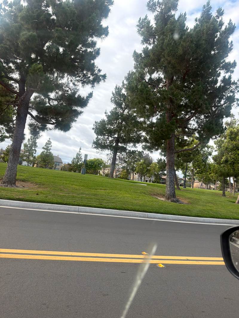 walking near me in Forest Park in summer