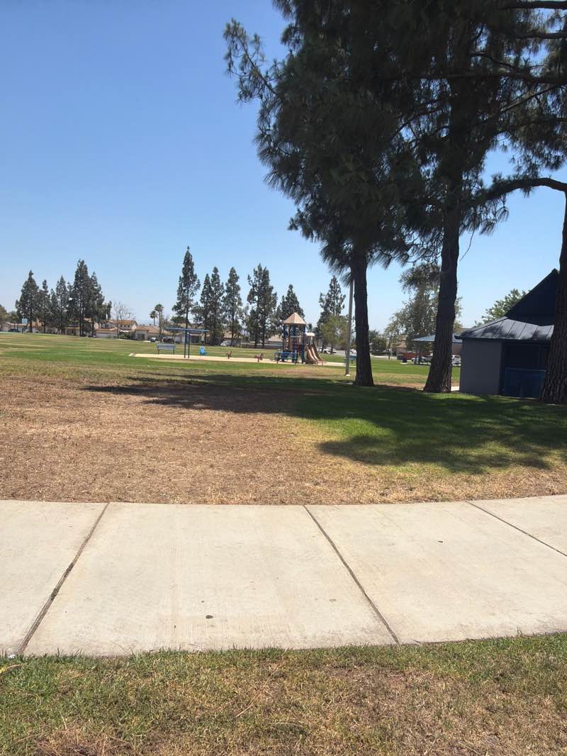 walking near me in Clay Park in summer