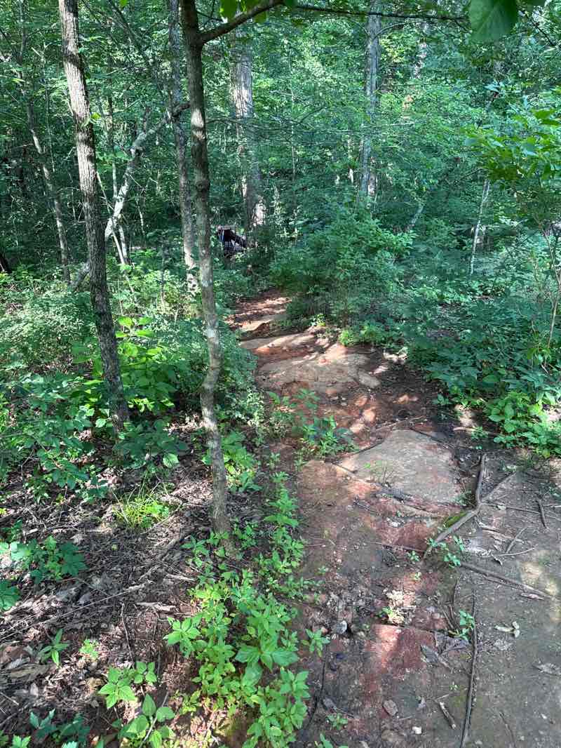 walking near me in Rainbow Mountain Nature Preserve in summer