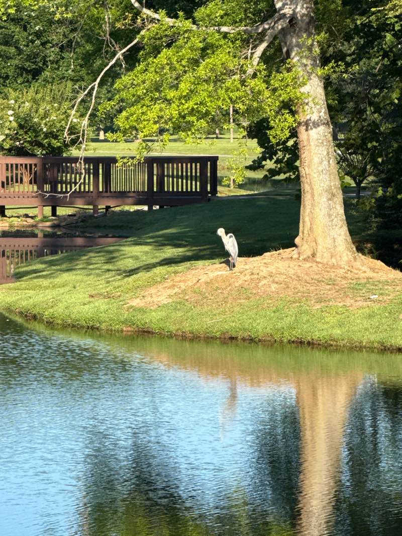 walking near me in Spencer Park in summer