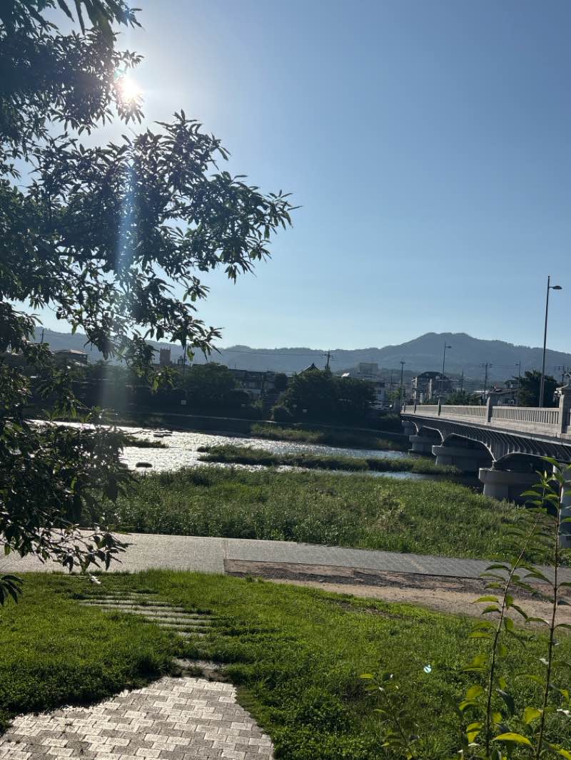 walking near me in 鴨川公園 in summer