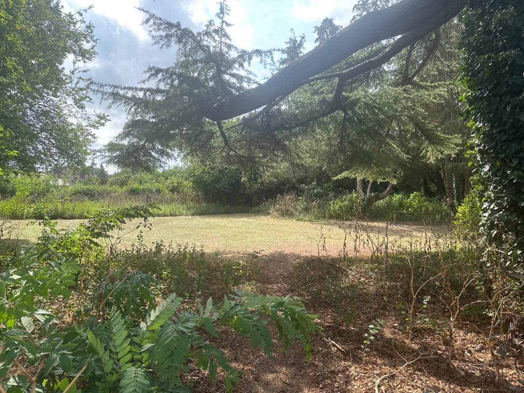 walking near me in Grove Park Community Gardens in autumn