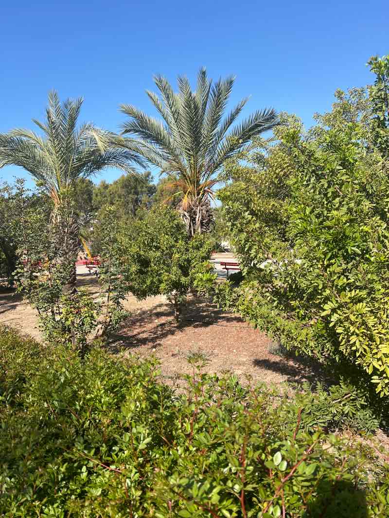 walking near me in Kallipateira Statue and Park in spring