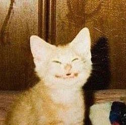 Анастасия profile