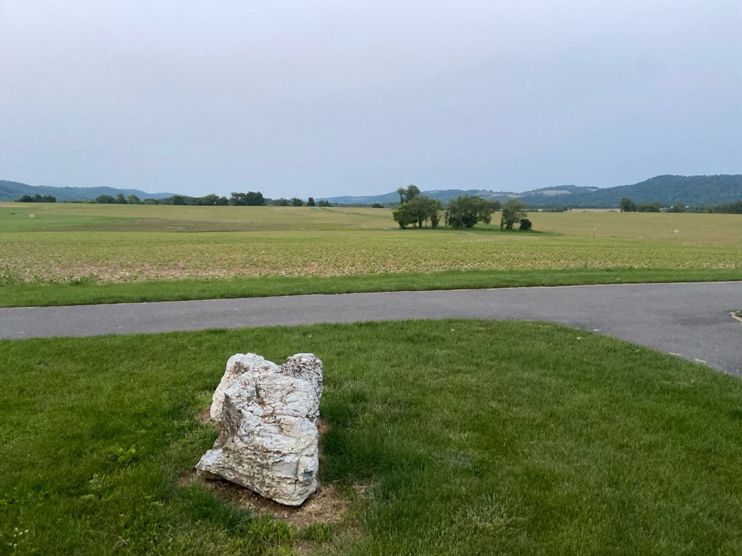 walking near me in Thomas Stewart Park in summer
