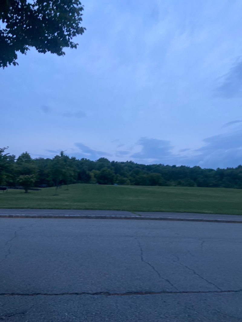 walking near me in Lopatcong Park in summer