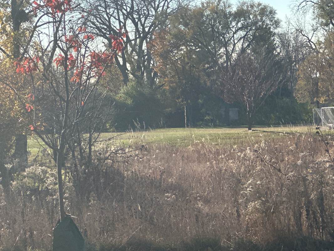 walking near me in Ehlert Park in autumn