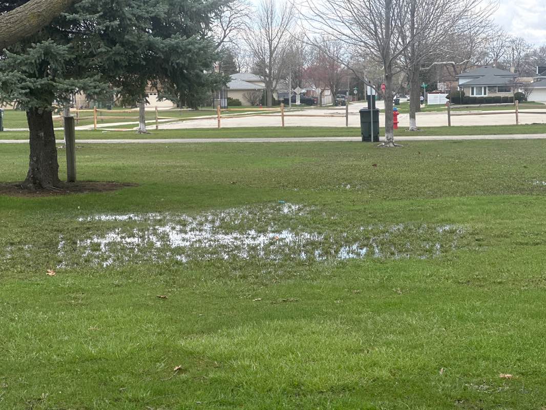 walking near me in Ehlert Park in spring