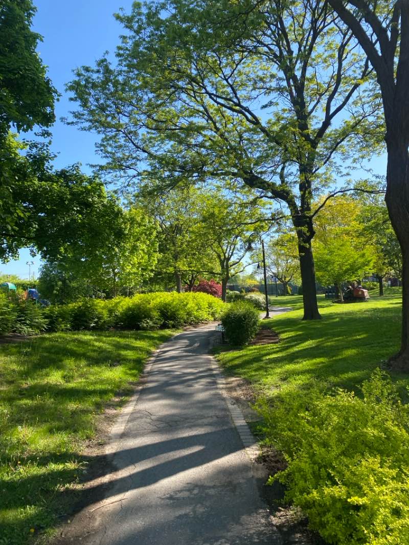 walking near me in Danyluk Park in spring