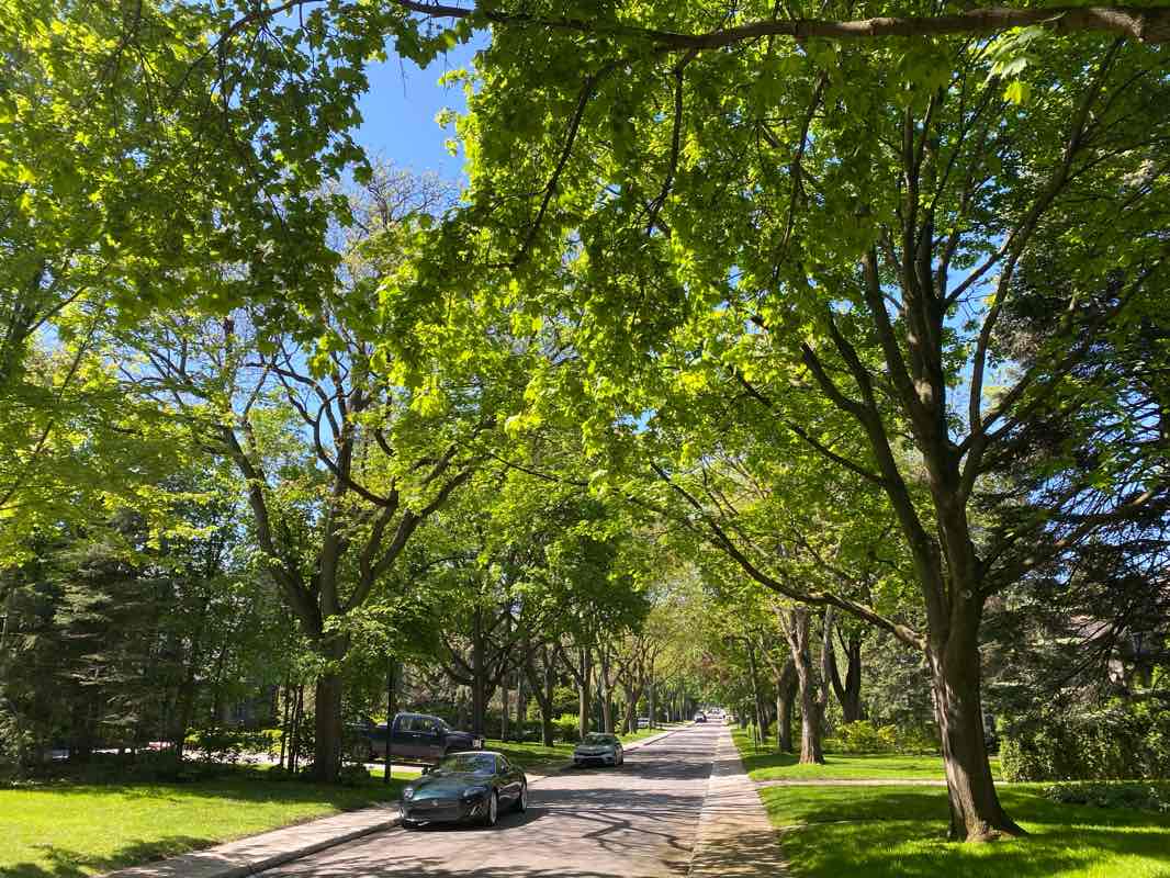 walking near me in Parc Mohawk in spring