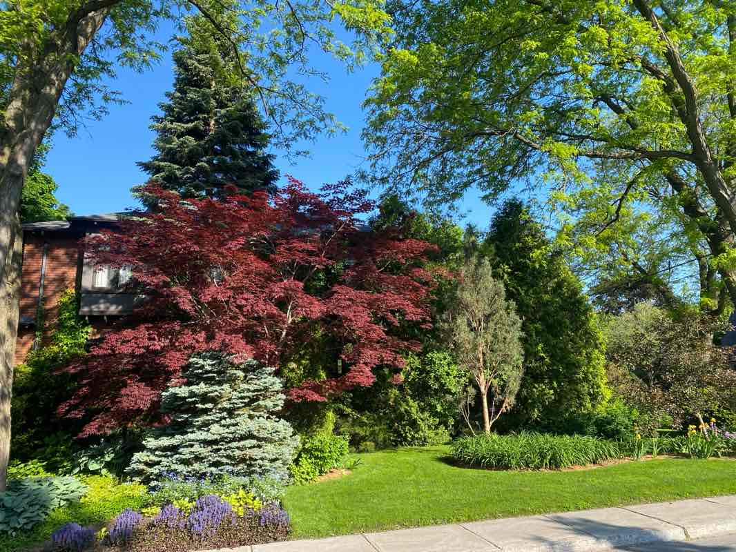 walking near me in Parc Godfroy-Langlois in summer