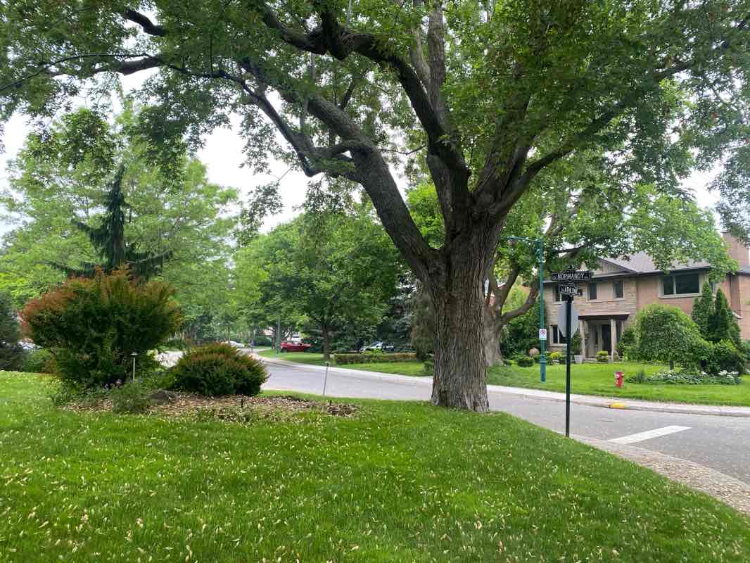 walking near me in Parc Isabel-Schofield in summer
