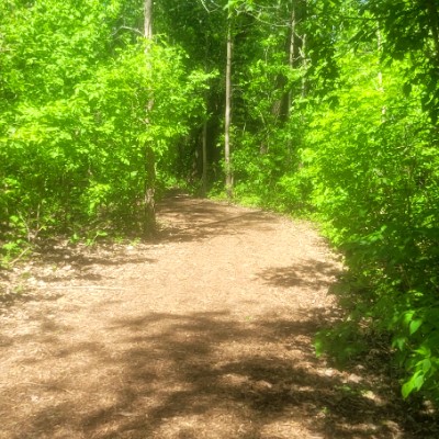 sherline post 1
