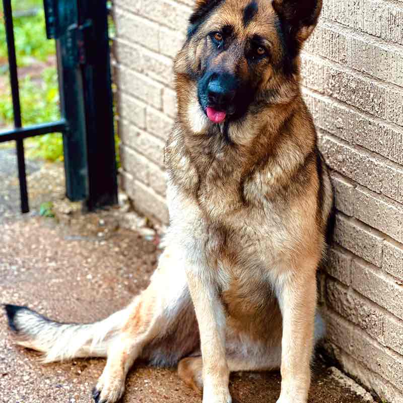 DFW Bariatrics and General Sur Lisa post image