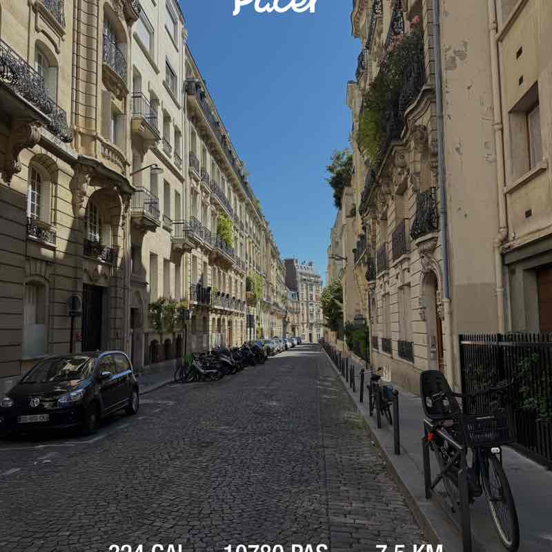 Movin’ Flow 🌀🐾 ⋆˙⟡ Anastasia post image