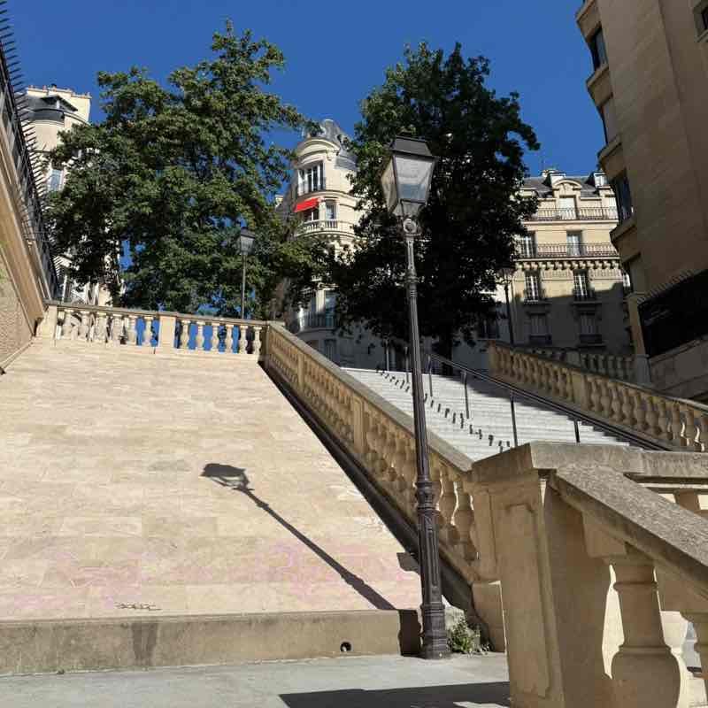 Movin’ Flow 🌀🐾 ⋆˙⟡ Anastasia post image