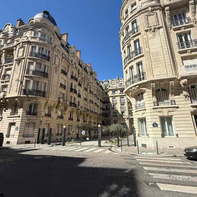 Movin’ Flow 🌀🐾 ⋆˙⟡ Anastasia post image